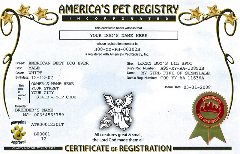 Certificate Angel