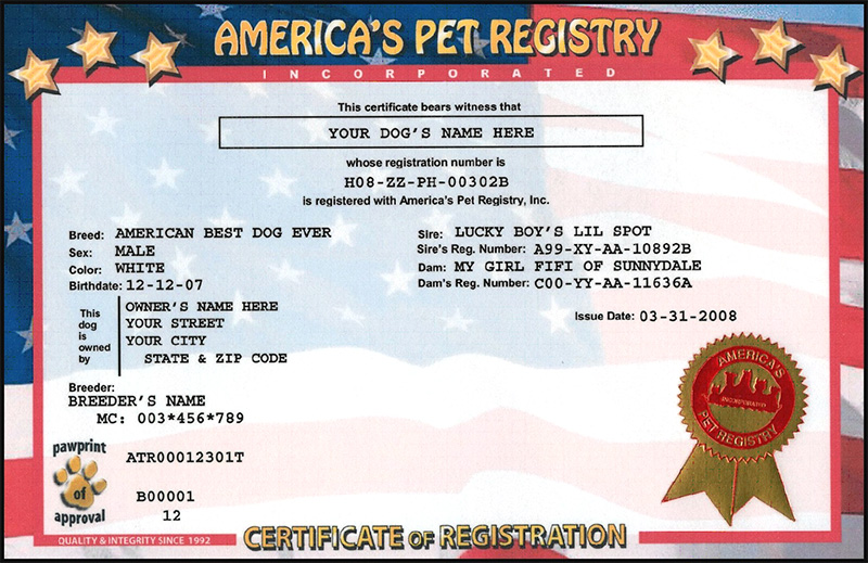 Certificate Patriotic