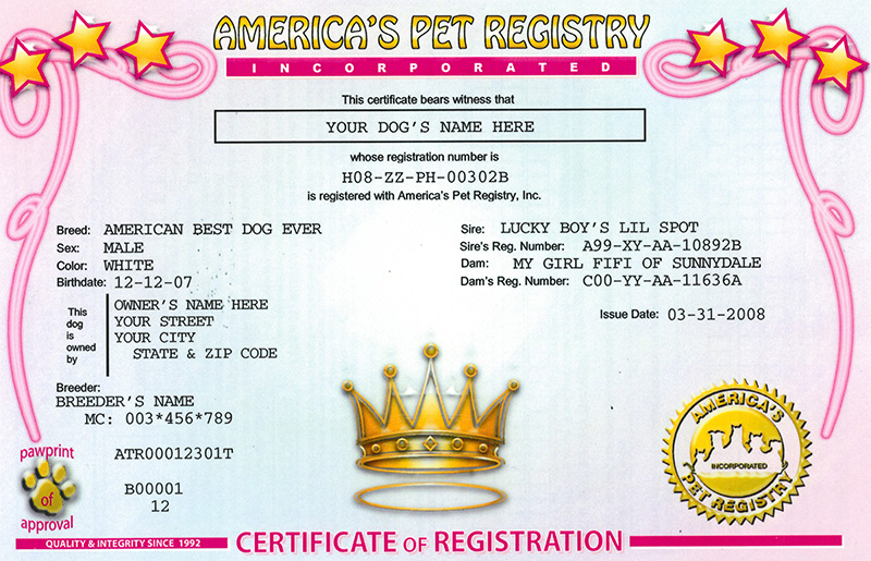 Certificate Princess Pink