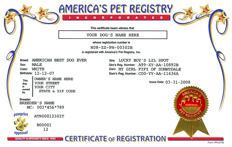 Certificate Standard